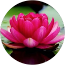 Agus profile picture