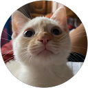 Leandro Paduani profile picture